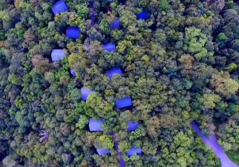  ľ��ľ�݄e��